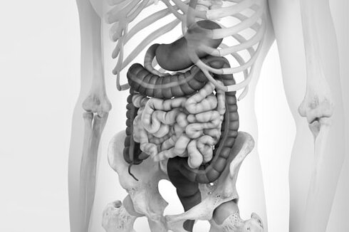 ESD et endoscopie « Third Space »